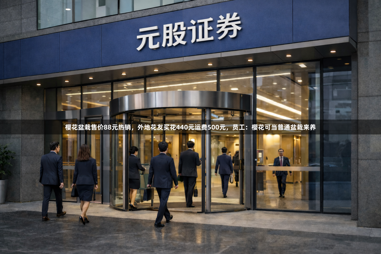 樱花盆栽售价88元热销，外地花友买花440元运费500元，员工：樱花可当普通盆栽来养