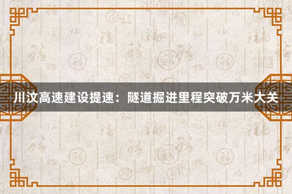 川汶高速建设提速：隧道掘进里程突破万米大关