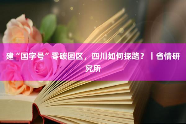 建“国字号”零碳园区，四川如何探路？丨省情研究所