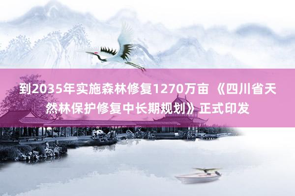 到2035年实施森林修复1270万亩 《四川省天然林保护修复中长期规划》正式印发