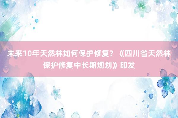 未来10年天然林如何保护修复？《四川省天然林保护修复中长期规划》印发