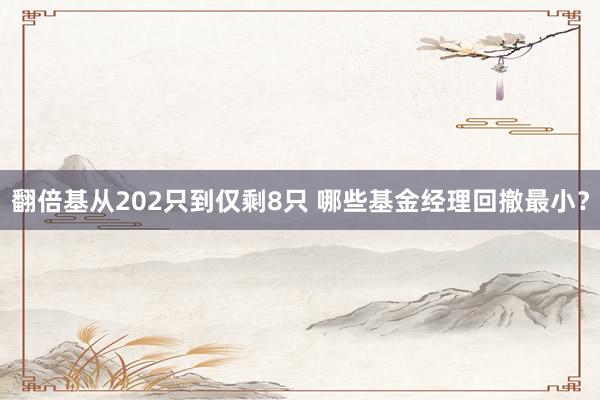 翻倍基从202只到仅剩8只 哪些基金经理回撤最小？