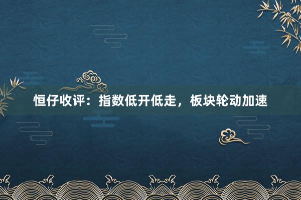 恒仔收评：指数低开低走，板块轮动加速