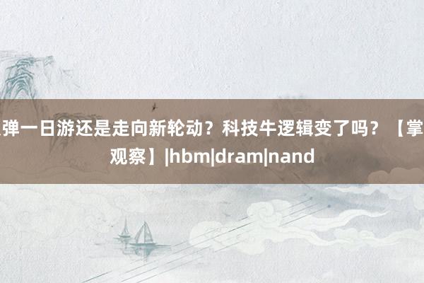 反弹一日游还是走向新轮动？科技牛逻辑变了吗？【掌柜观察】|hbm|dram|nand