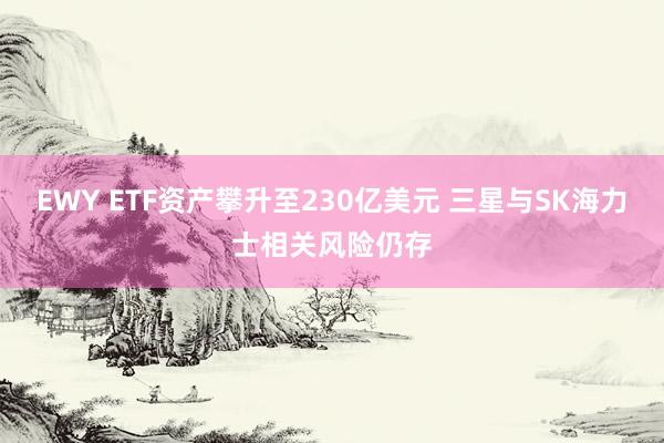 EWY ETF资产攀升至230亿美元 三星与SK海力士相关风险仍存
