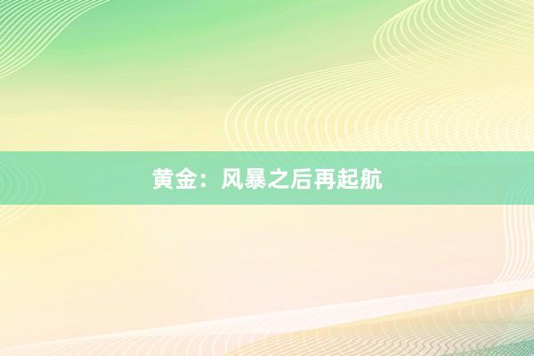 黄金：风暴之后再起航