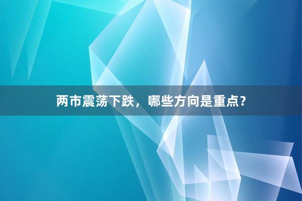 两市震荡下跌，哪些方向是重点？