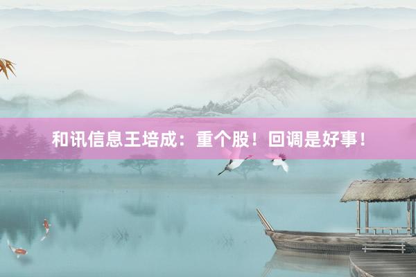 和讯信息王培成：重个股！回调是好事！