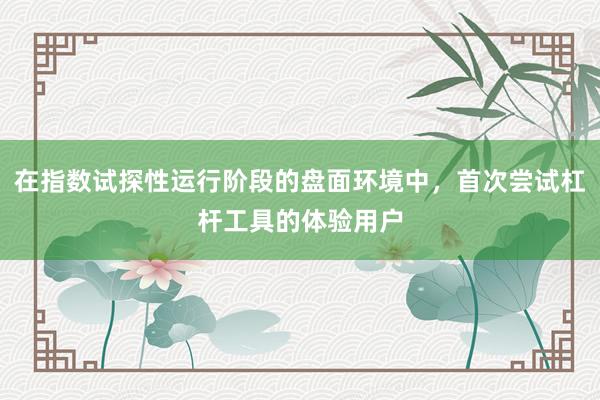 在指数试探性运行阶段的盘面环境中，首次尝试杠杆工具的体验用户