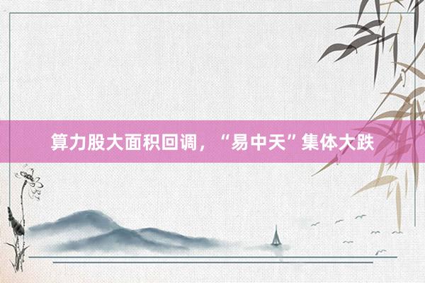 算力股大面积回调，“易中天”集体大跌