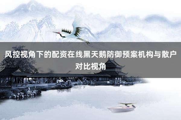 风控视角下的配资在线黑天鹅防御预案机构与散户对比视角