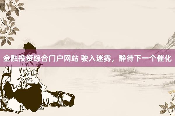 金融投资综合门户网站 驶入迷雾，静待下一个催化