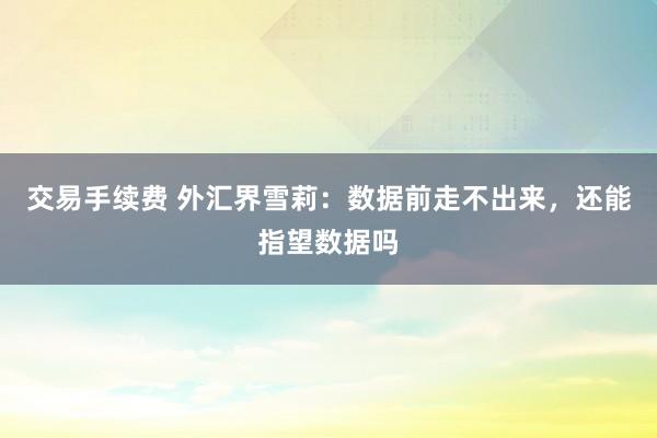 交易手续费 外汇界雪莉：数据前走不出来，还能指望数据吗