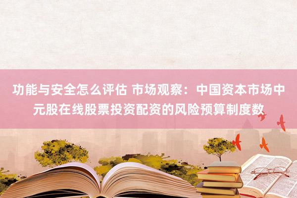 功能与安全怎么评估 市场观察：中国资本市场中元股在线股票投资配资的风险预算制度数