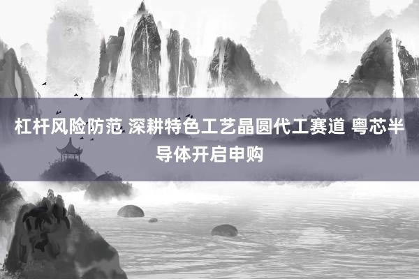 杠杆风险防范 深耕特色工艺晶圆代工赛道 粤芯半导体开启申购