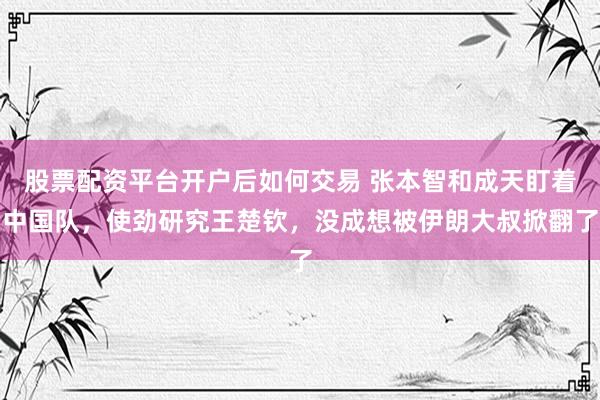 股票配资平台开户后如何交易 张本智和成天盯着中国队，使劲研究王楚钦，没成想被伊朗大叔掀翻了