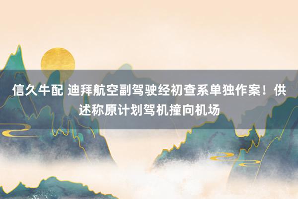 信久牛配 迪拜航空副驾驶经初查系单独作案！供述称原计划驾机撞向机场