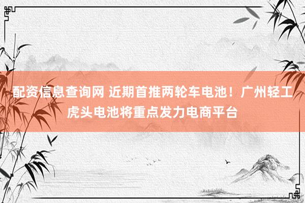 配资信息查询网 近期首推两轮车电池！广州轻工虎头电池将重点发力电商平台