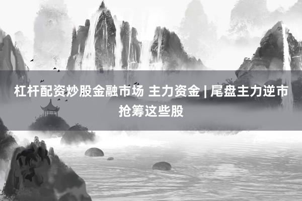 杠杆配资炒股金融市场 主力资金 | 尾盘主力逆市抢筹这些股